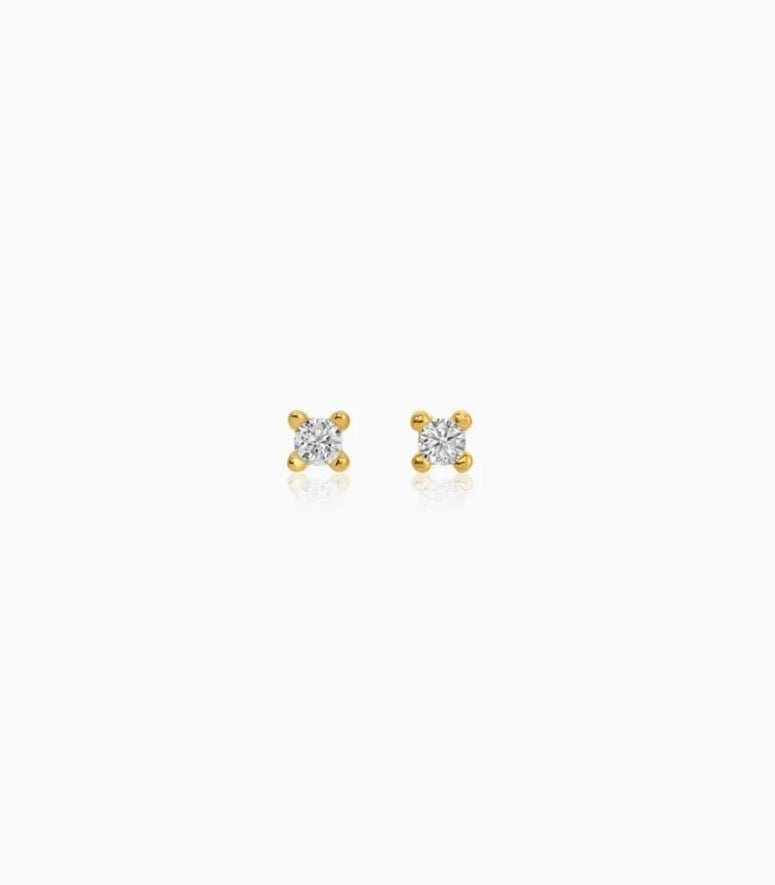 Speck Earrings