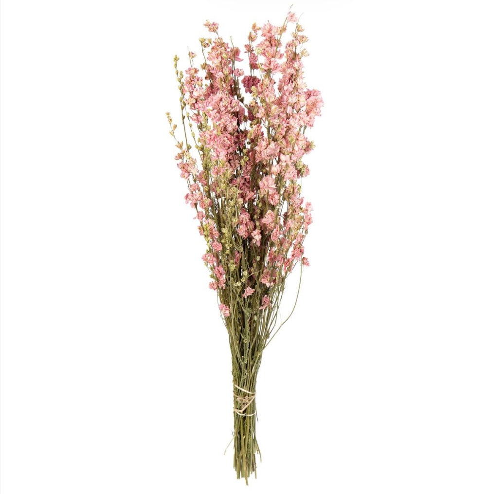 Willow Group Delphinium Bunch