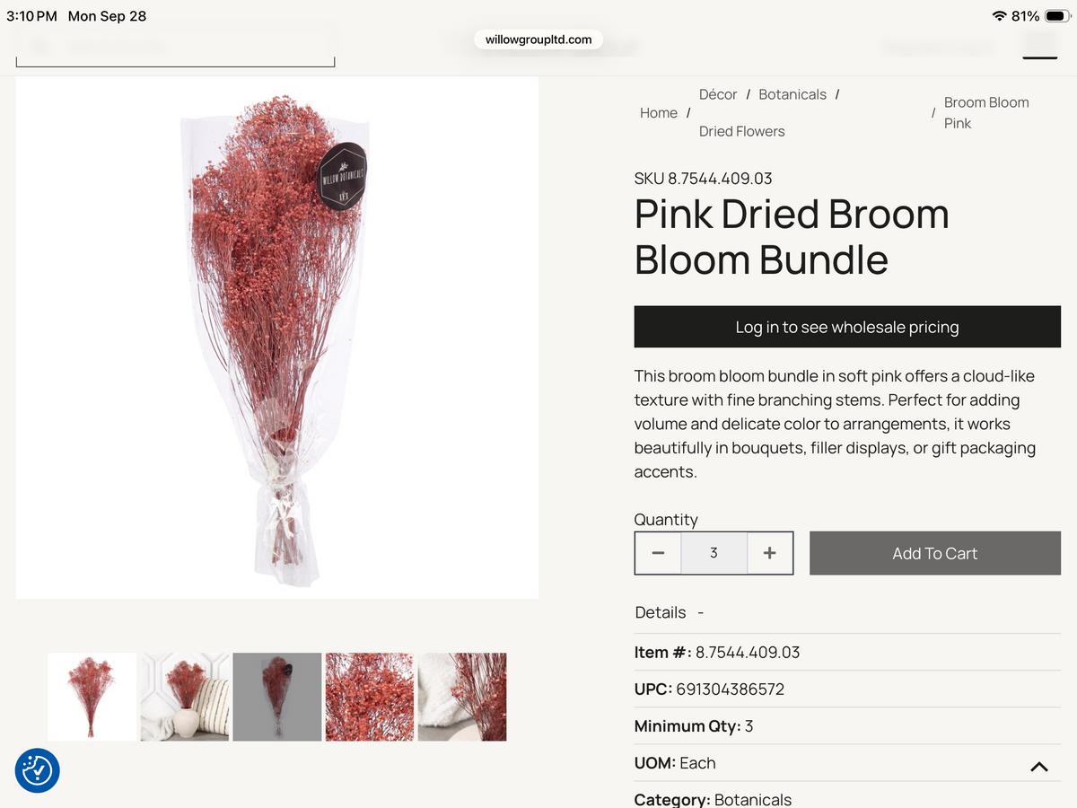 Willow Group - Bloom Broom
