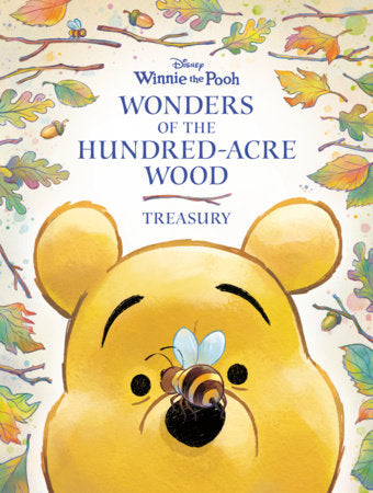 Winnie The Pooh: Wonders Of The Hundred-Acre Wood