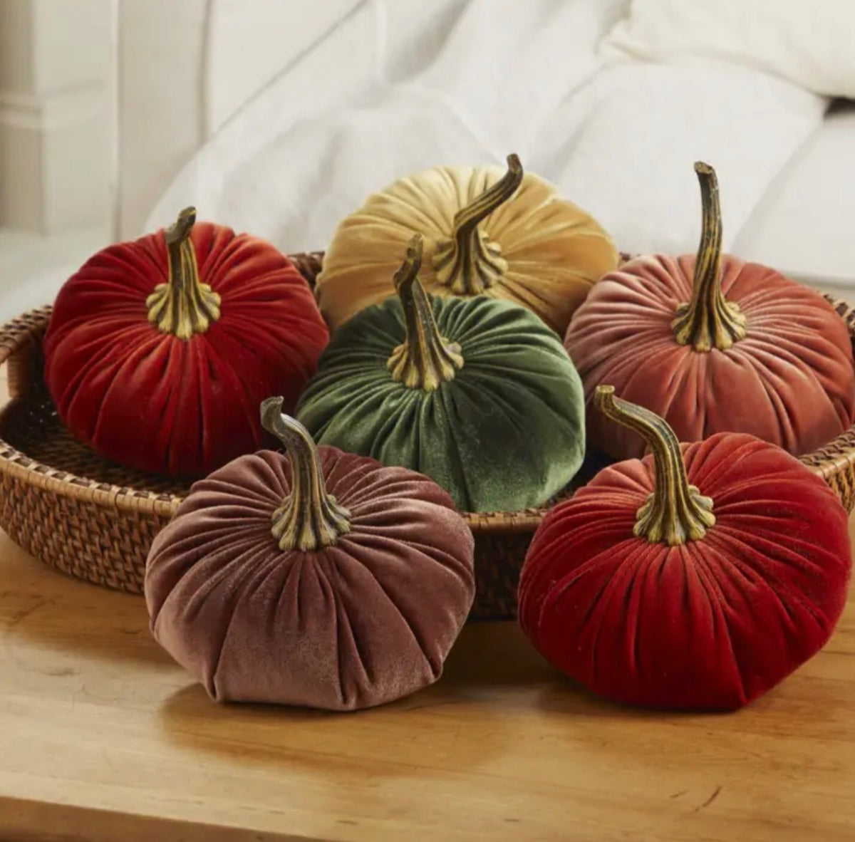 Velvet Pumpkin