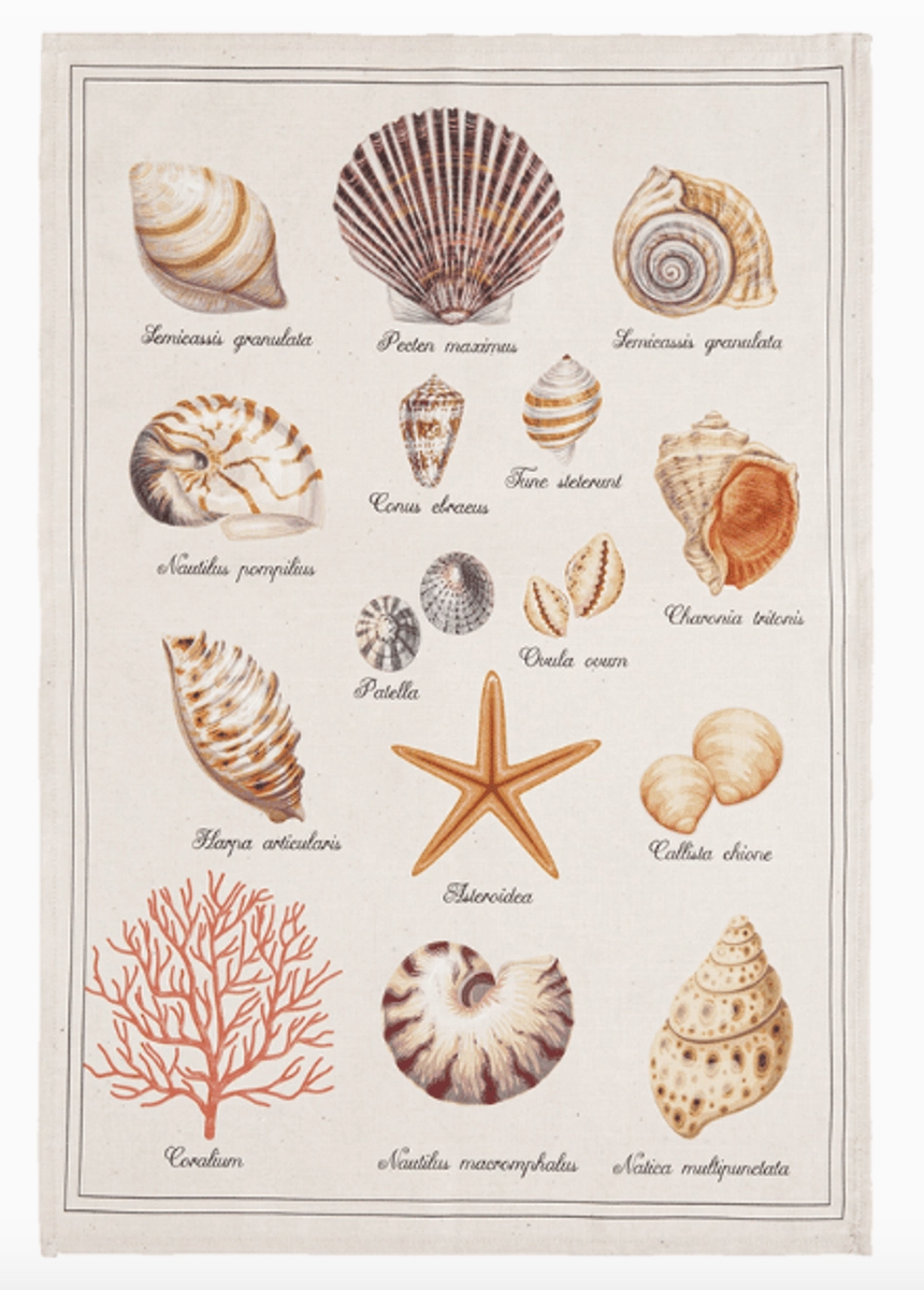 Coucke Seashells Tea Towel