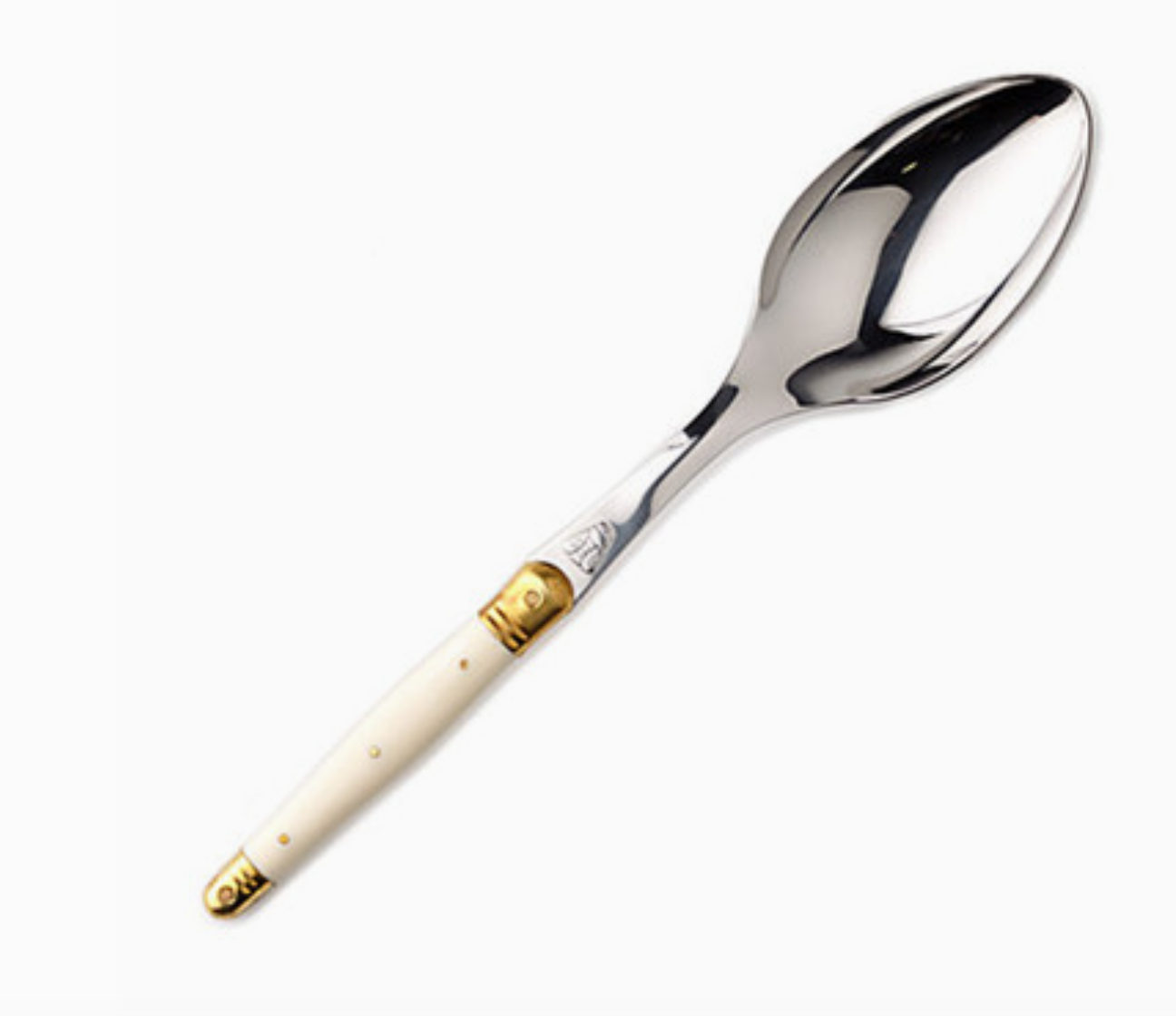 Serving Spoon with Ivory Colored Handle