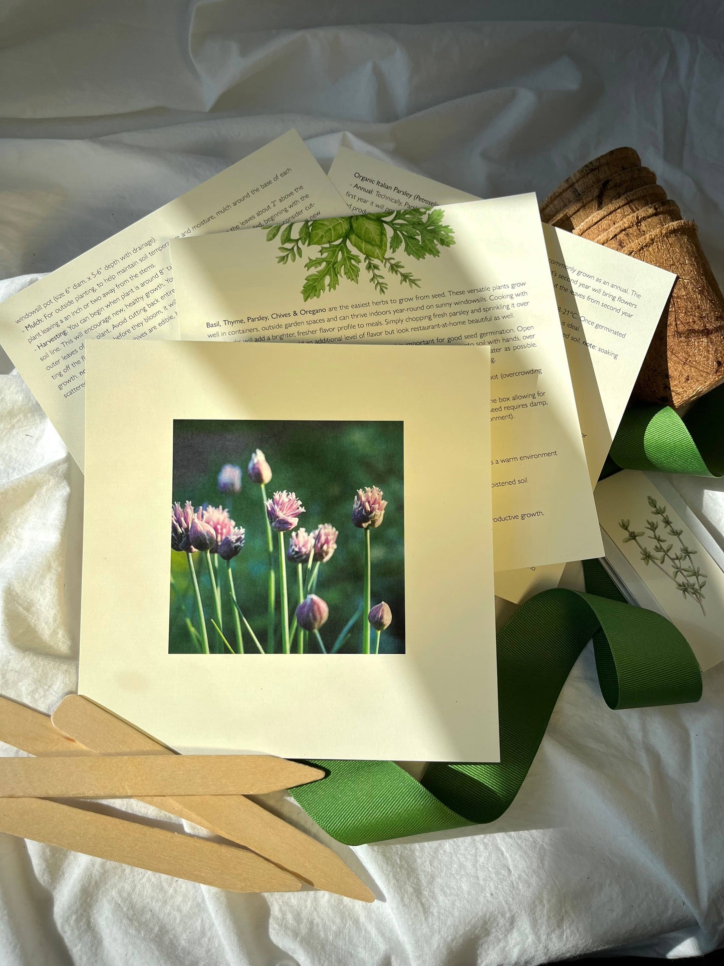 NEW Culinary Herb Garden Box | Thoughtful Gift| Spring