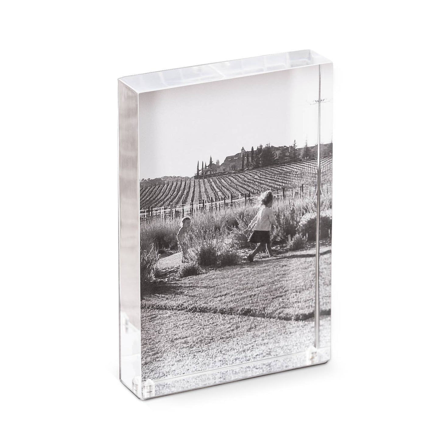 Sandy Acrylic & Stainless Steel Frame