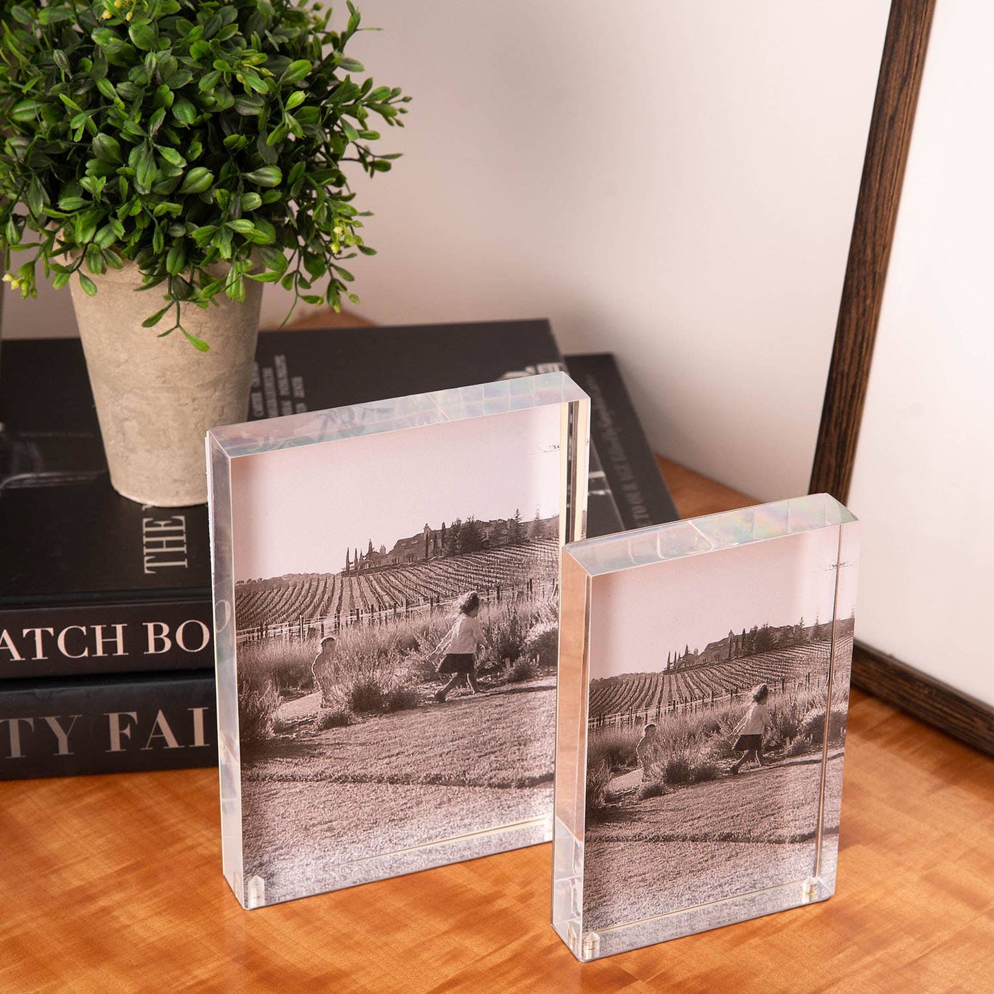 Sandy Acrylic & Stainless Steel Frame