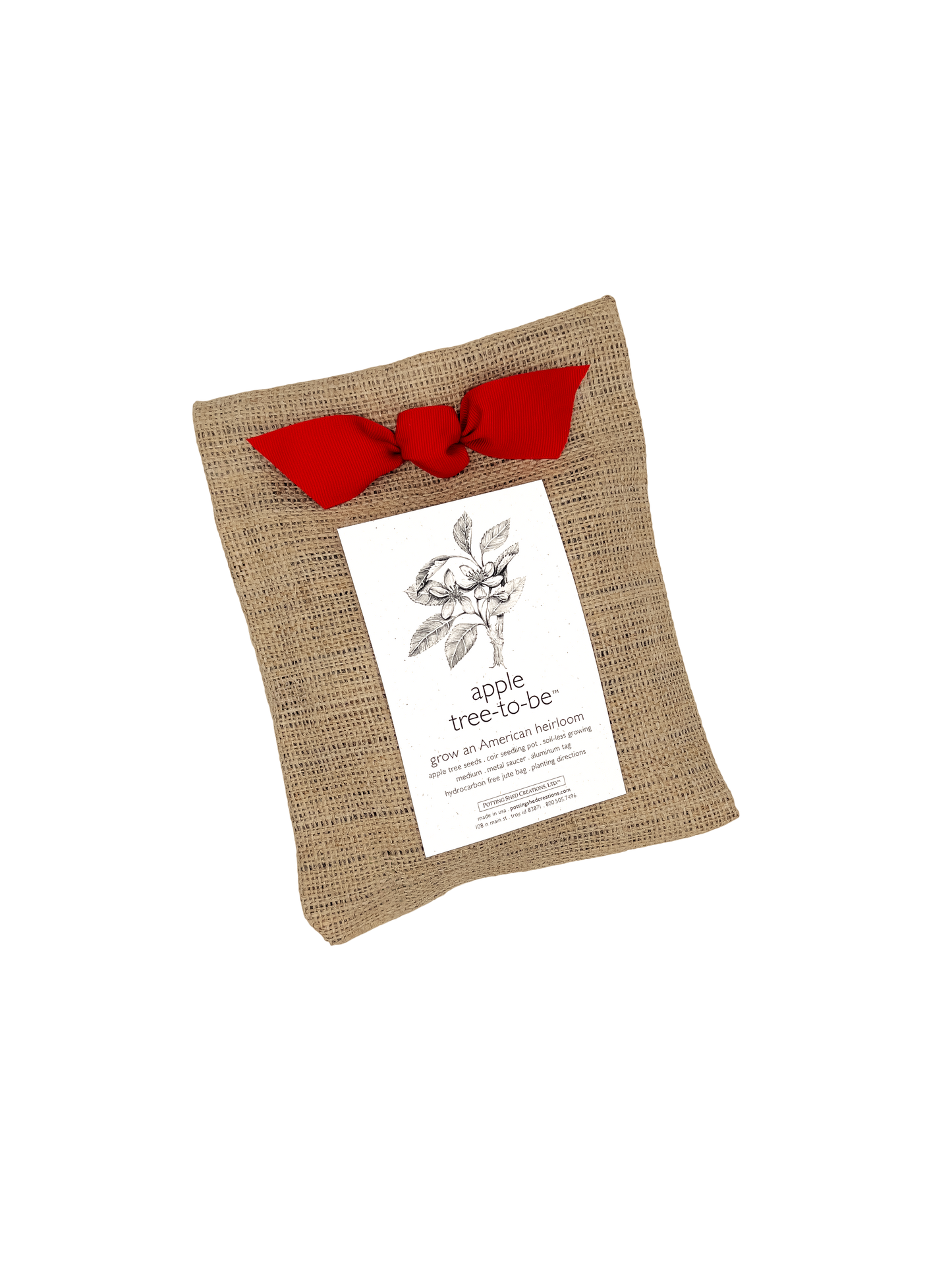 Tree To Be | Apple | Teacher Thank you gift | Kid Activity