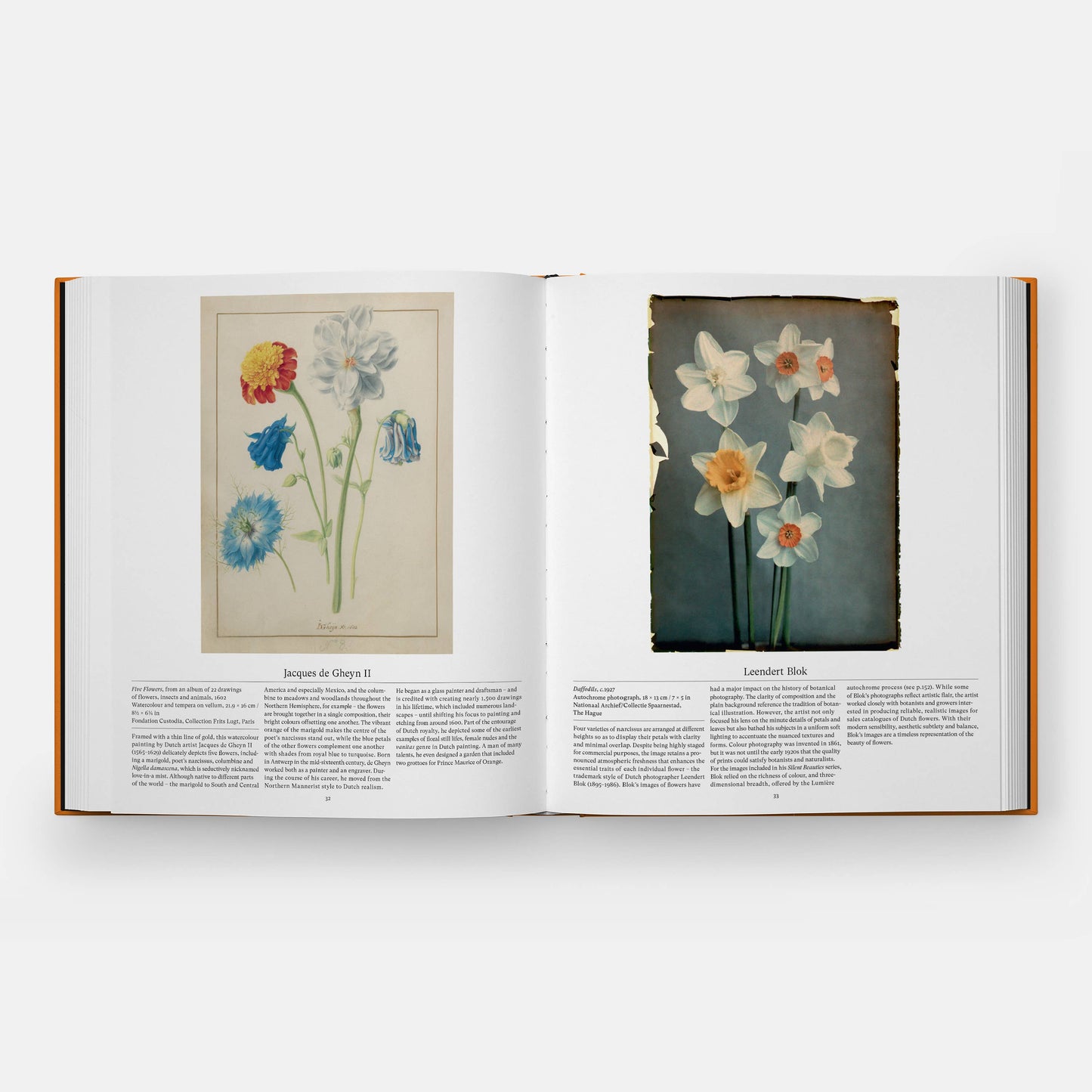 Flower: Exploring the World in Bloom, Compact Format