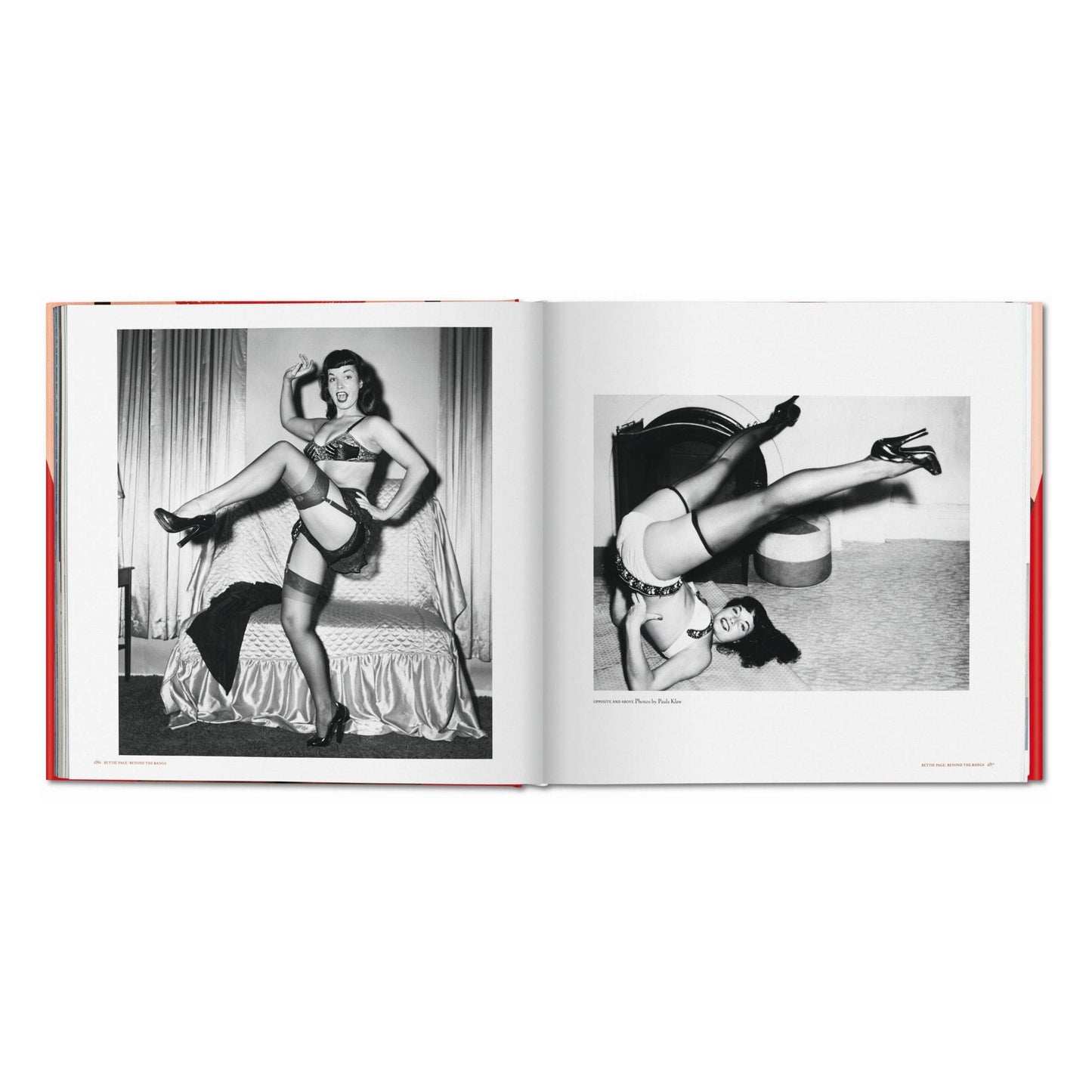 The Big Book of Legs (German, French, English)