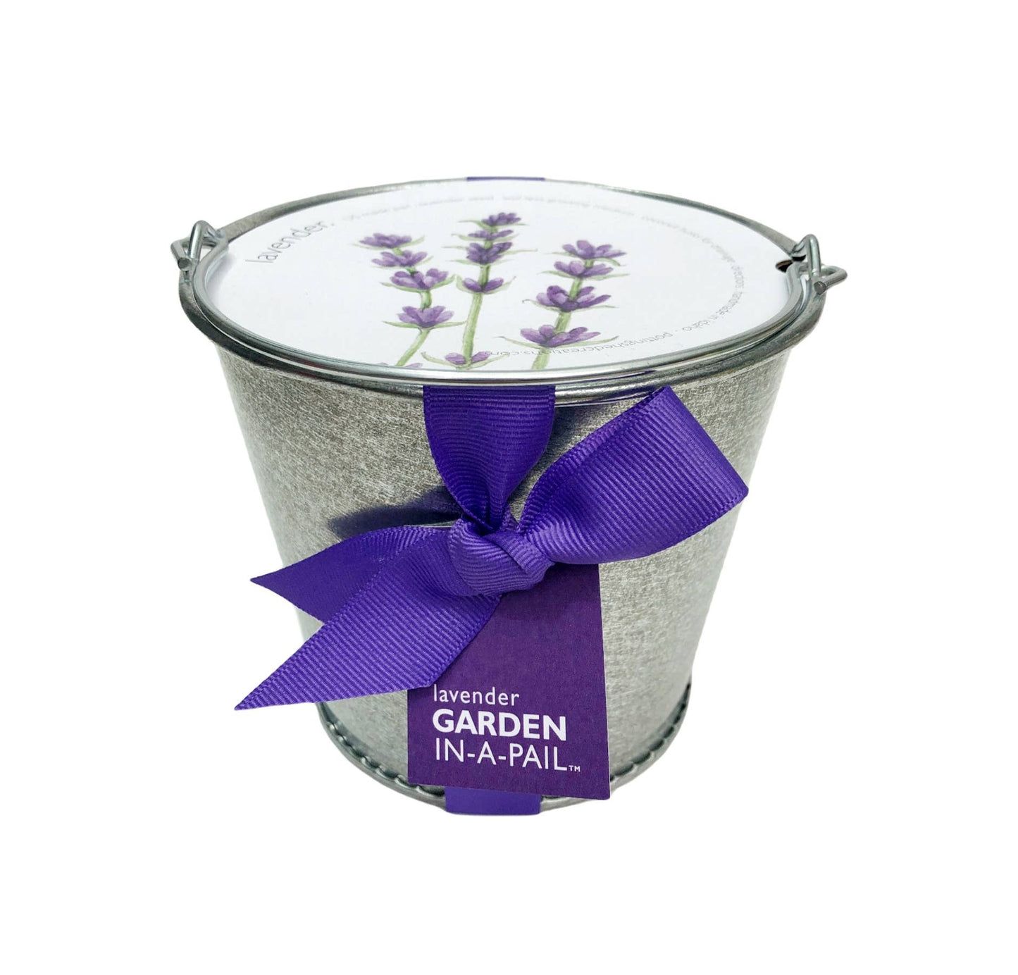 Garden in a Pail | Lavender | Kitchen | Spring Gift