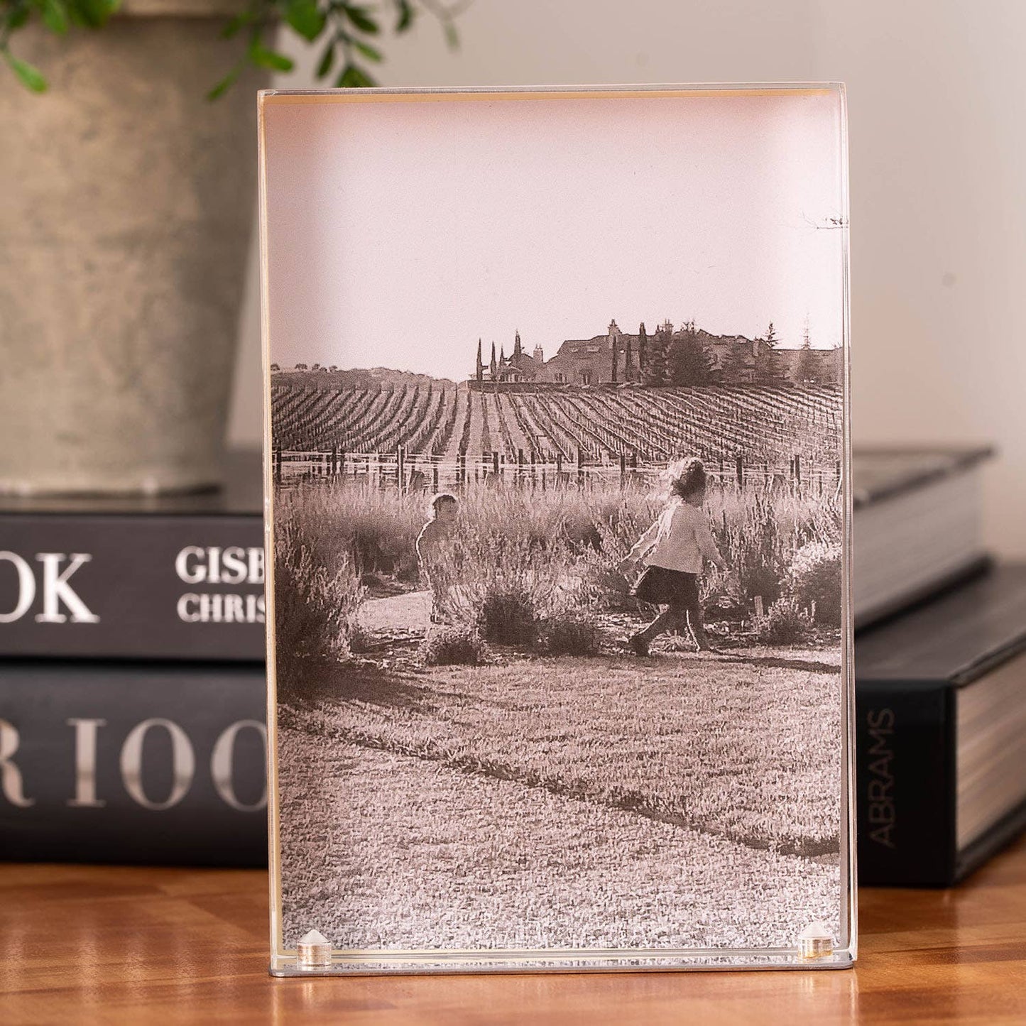 Sandy Acrylic & Stainless Steel Frame